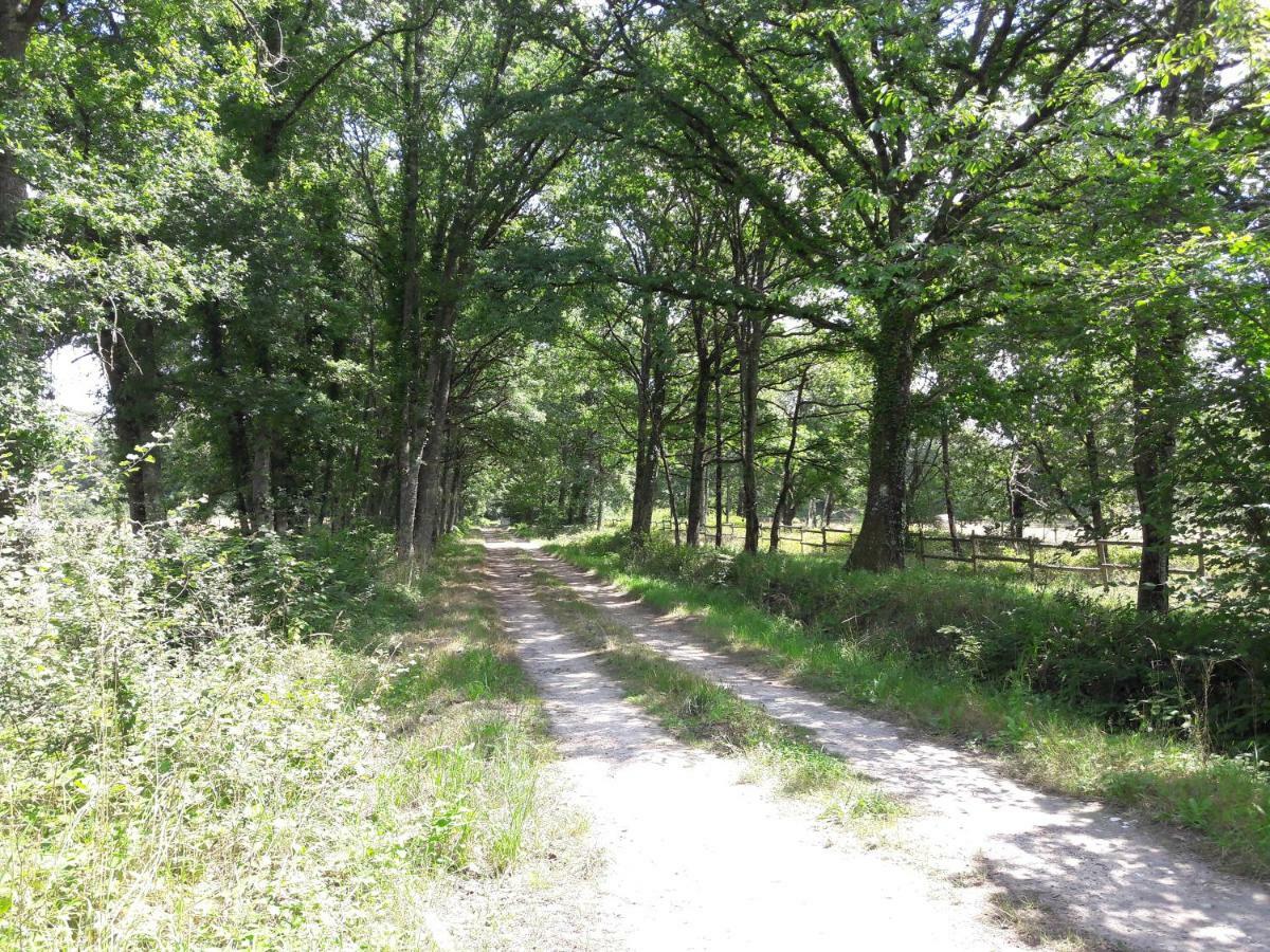 הוילה Clémont Domaine De Malgarni מראה חיצוני תמונה